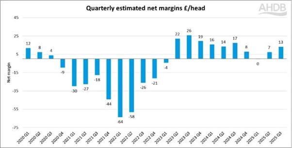 graph showing net margins for pork production